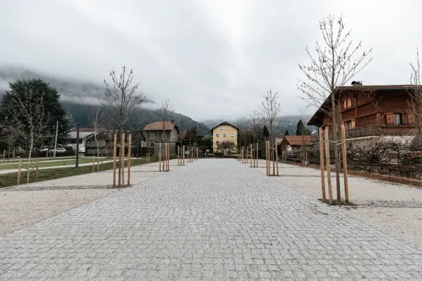 Parc du château — Scionzier (vue 2)