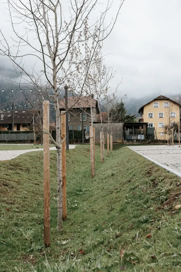 Parc du château — Scionzier (vue 4)